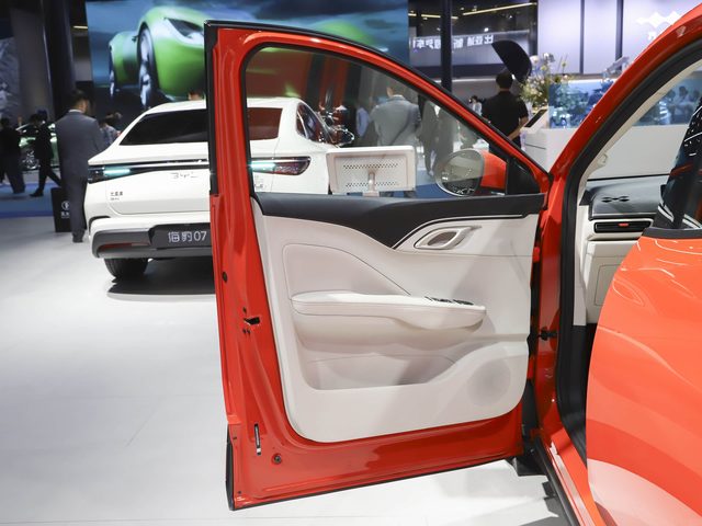 BYD Seagull — передняя дверь изнутри